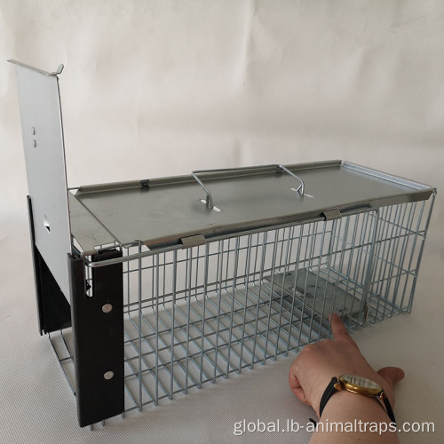 China Metal Humane Live Bait Vermin Rodent Cage Supplier